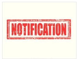 Overwhelmed By Notifications?