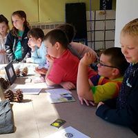 BRES Welcomes Graphic Artist