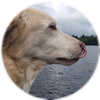 Small_1504188620-fullsizerender